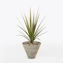 Minimalist Concrete Potted Indoor Plant 3D Model Right 45 Degree View