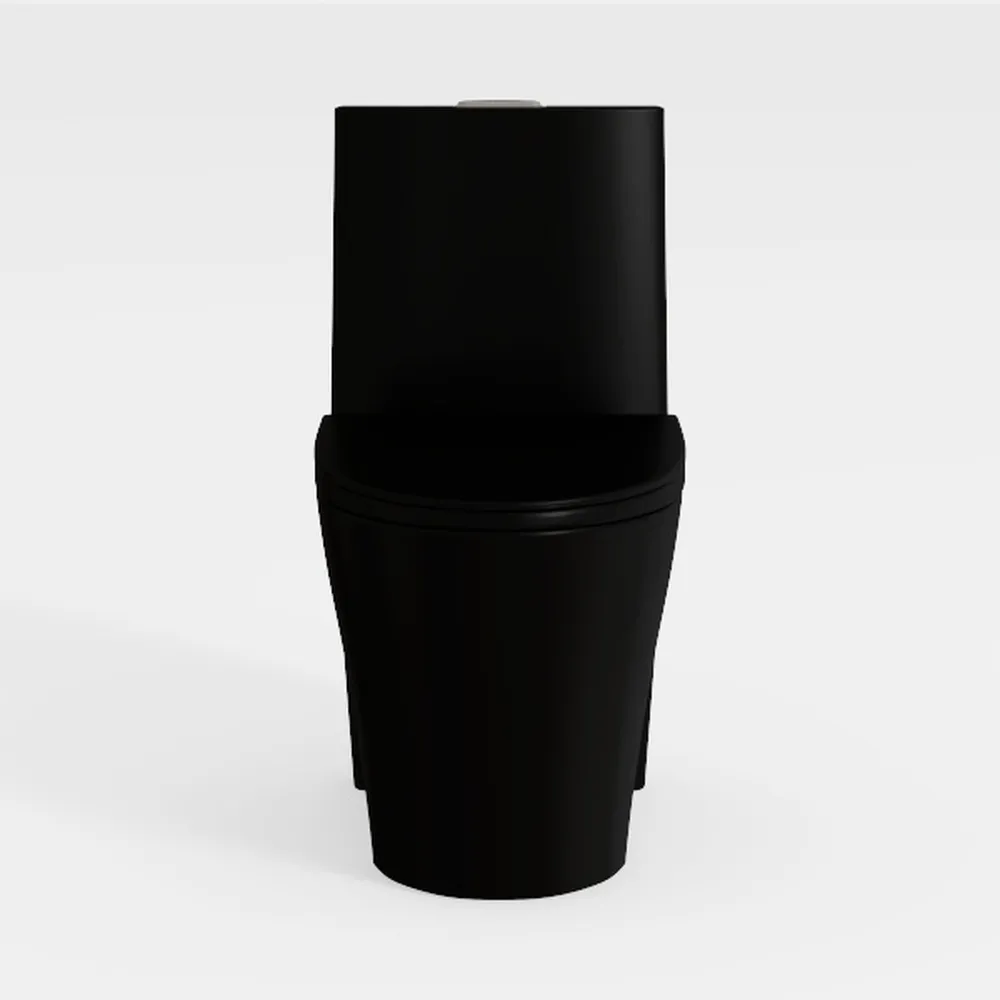 1.1/1.60 GPF Dual-Flush One Piece Toilet, Water