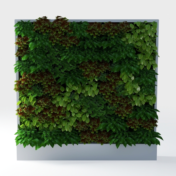plant background wall-Oudoor Oasis