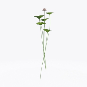 Artificial Lotus Flower Stem Decor 3D Model