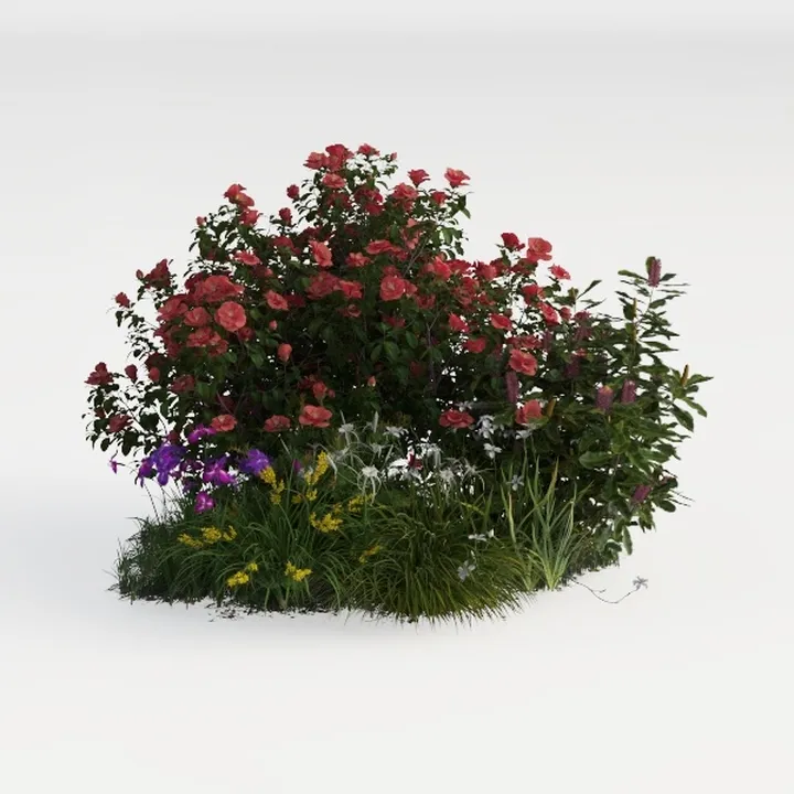 perennial border-Cozy Garden