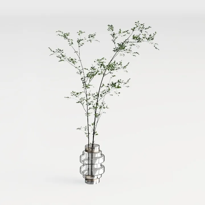 Minimalist Clear Glass Tabletop Potted Plant 3D Model