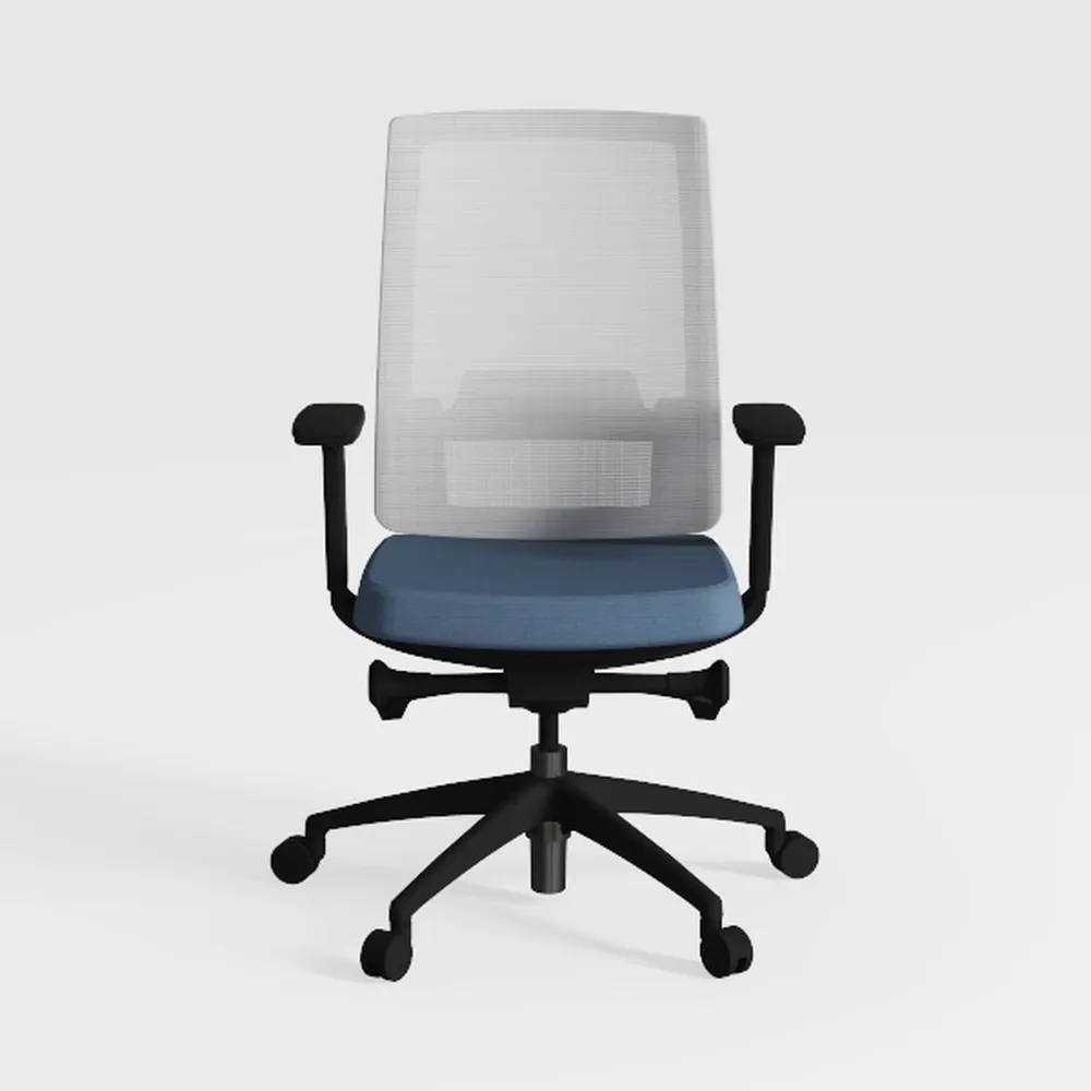 Ergonomic Office Chair with Leather Cushion, Memor