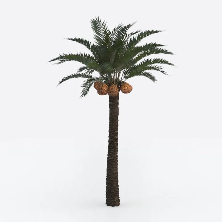 6FT Artificial Yucca Tree, Realistic Fake Agave