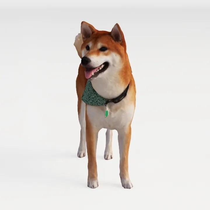 Open-air Cafe - Shiba Inu Dog 2