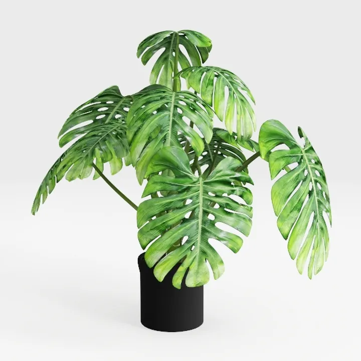 Der Rose 28'' Fake Plants Large Artificial Plants