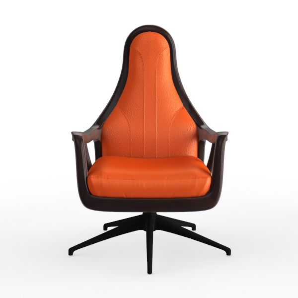 Executive Office Chair,Ergonomic Office Chair - Ho