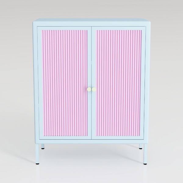 Small 2 Transparent Door Metal Storage Side Buffet