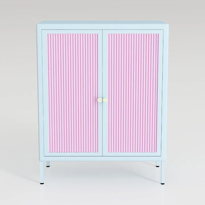 Small 2 Transparent Door Metal Storage Side Buffet