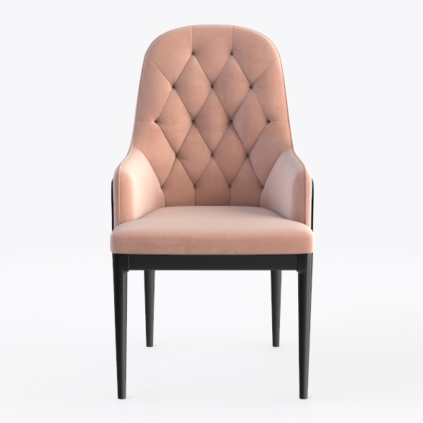 Upholstered Dining Chairs Set of 2, Modern PU