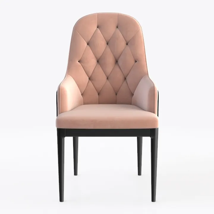 Upholstered Dining Chairs Set of 2, Modern PU