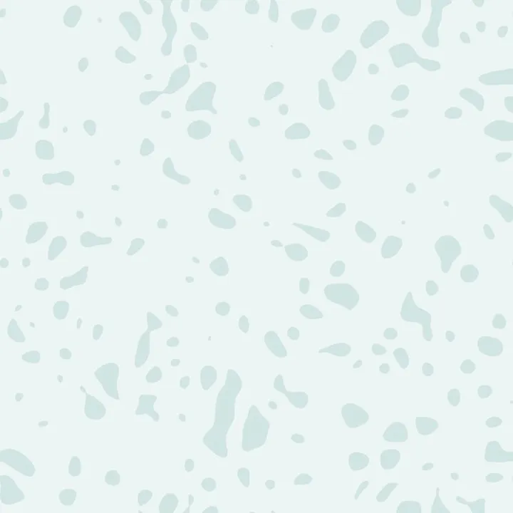 Plain_42