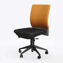 Schwake Ergonomic Office Chair Home Mesh Desk Chai Left 45 Degree View