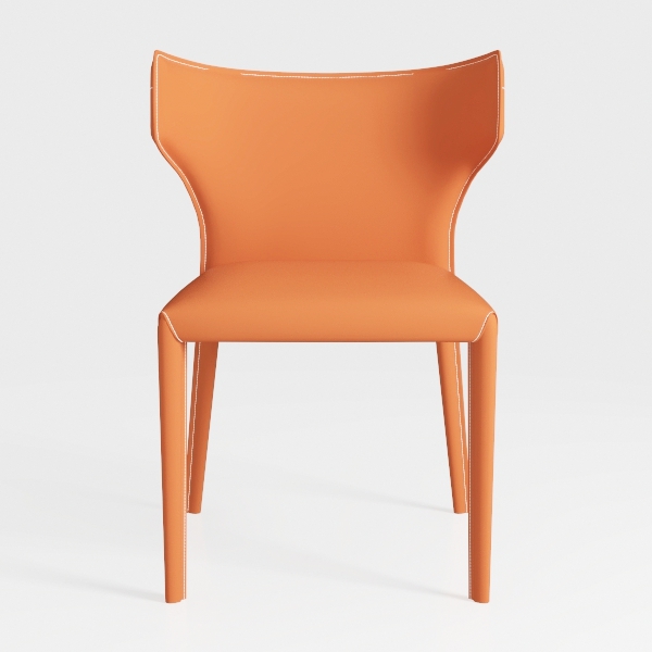 Dining Chairs Set of 2, for Indoor Kitchen Room