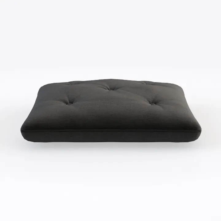 Cushion