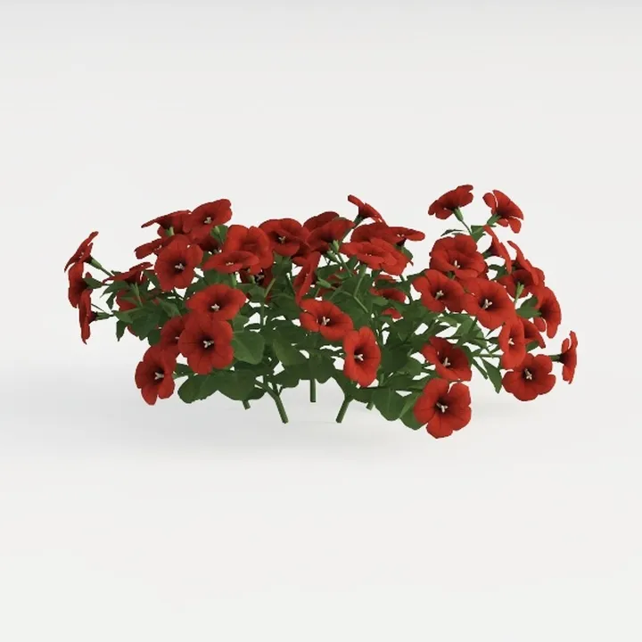 Realistic Red Petunia Flower Bush 3D Model