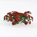 Realistic Red Petunia Flower Bush 3D Model Left 45 Degree View