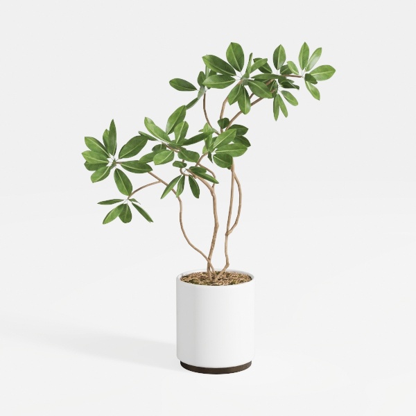 Fake Tree Faux Olive Tree Artificial Olive Trees