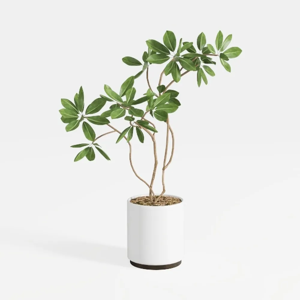 Fake Tree Faux Olive Tree Artificial Olive Trees