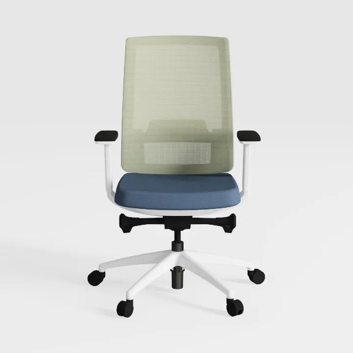 Ergonomic Office Chair - Breathable MESH - Back