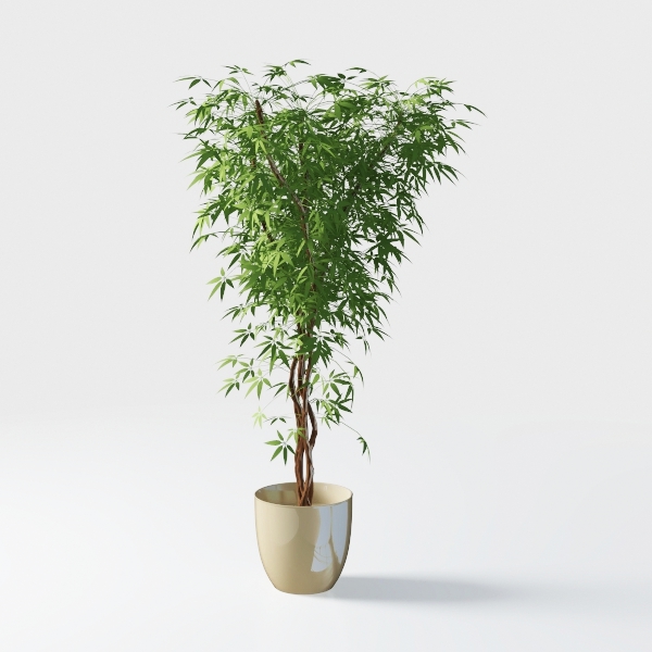 Ficus Tree Artificial Indoor, 8 Feet Tall Faux