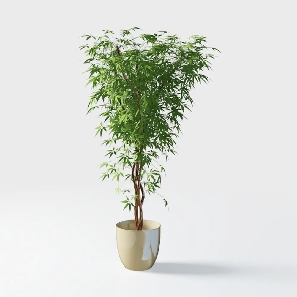 Ficus Tree Artificial Indoor, 8 Feet Tall Faux