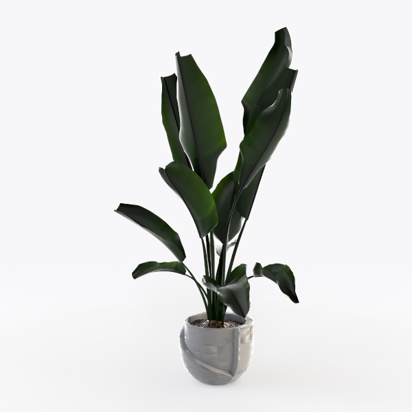 Artificial Bird of Paradise Plant, 5.2FT Tall