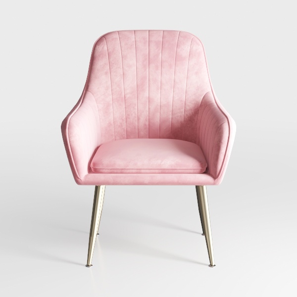 GIZNXBA Velvet Dining Chairs, Modern Living Dining