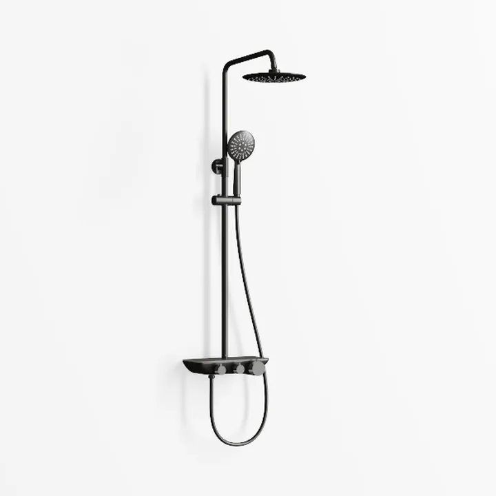 Matte Black Metal Wall Mounted Dual Spray Shower System 3D Model