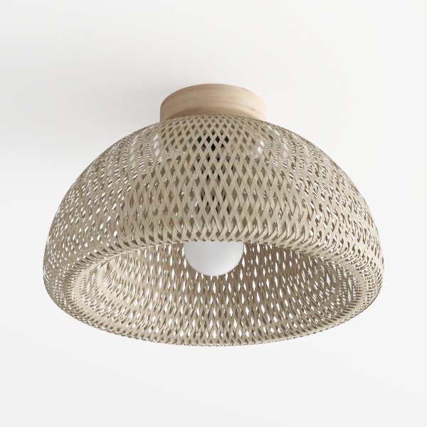 ceiling lamp-Summer Breeze