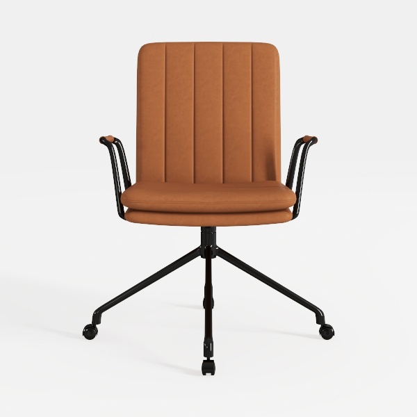 Office Chair Ergonomic Middle Back Cushion Lumbar