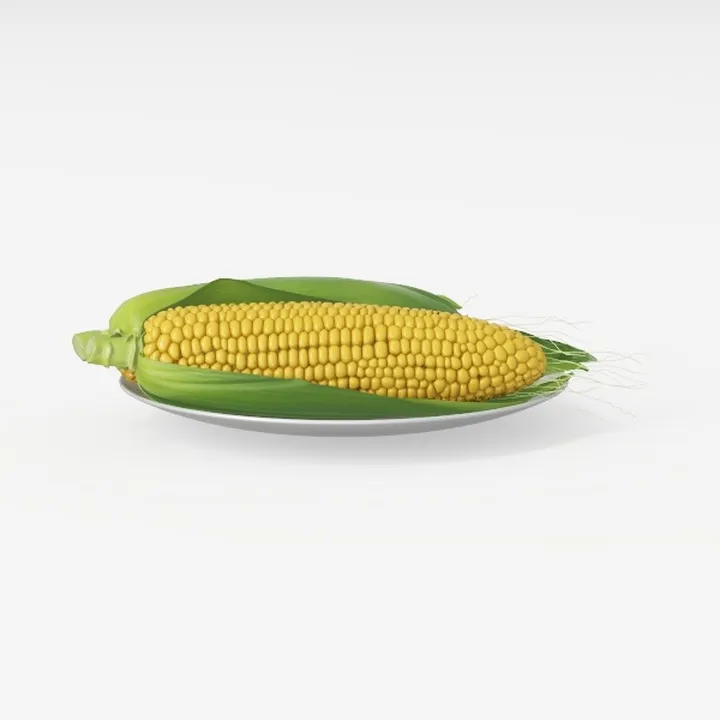 corn-Thanksgiving