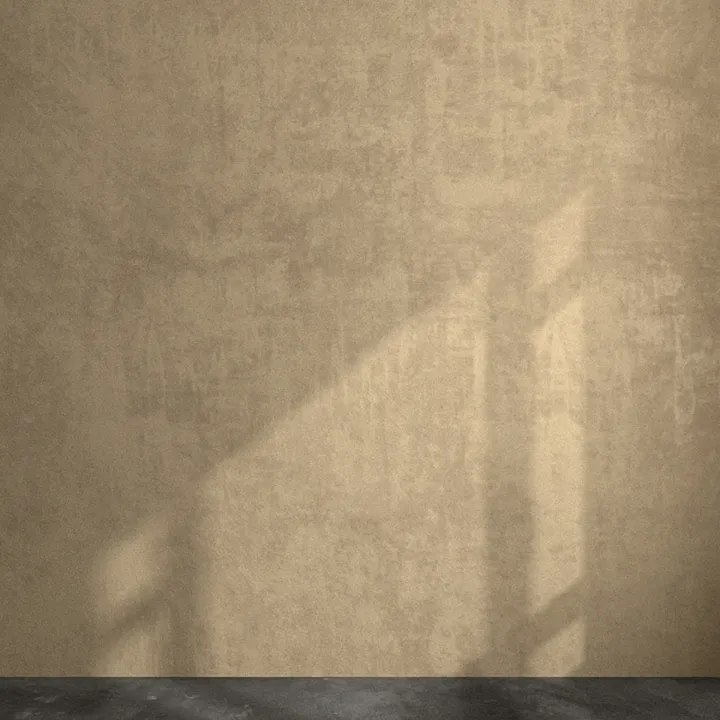 Stone-like Paint 21