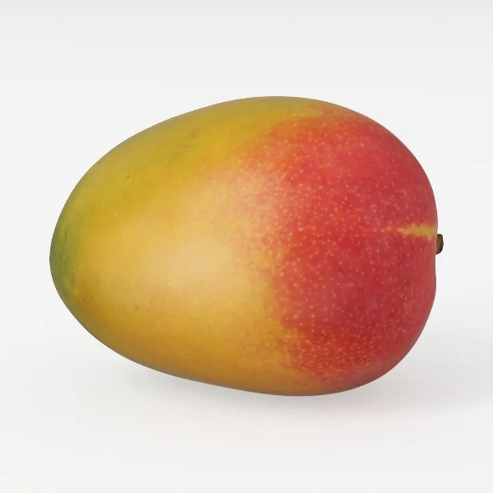 mango-Fruit