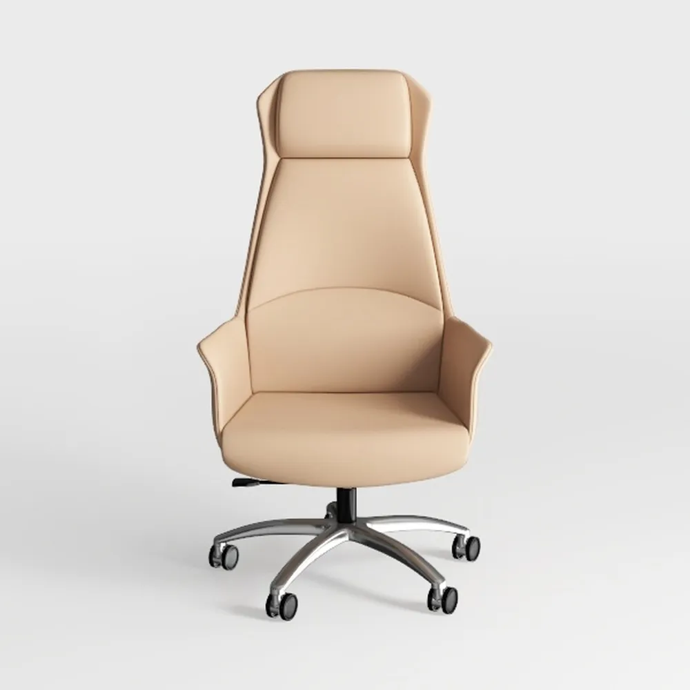 Office Chair Adjustable High Back Ergonomic Office