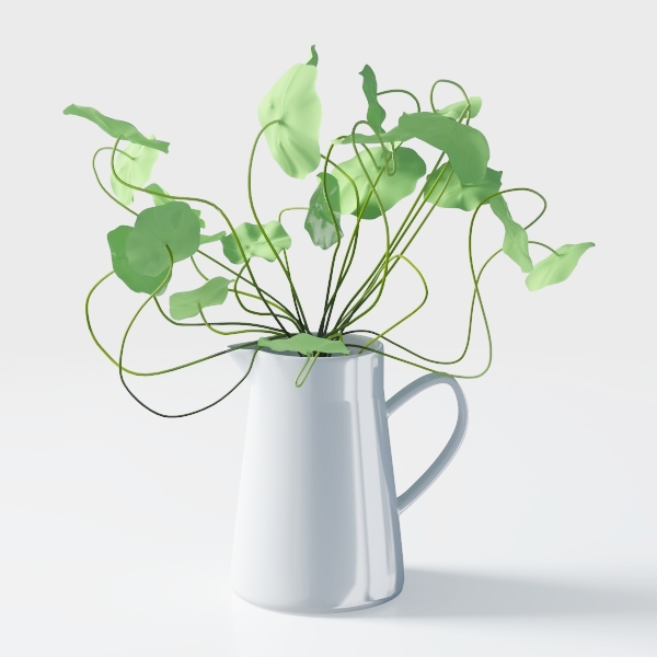 lucky clover-Green plant 1