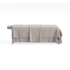 spa bed-Beauty SalonⅡ
