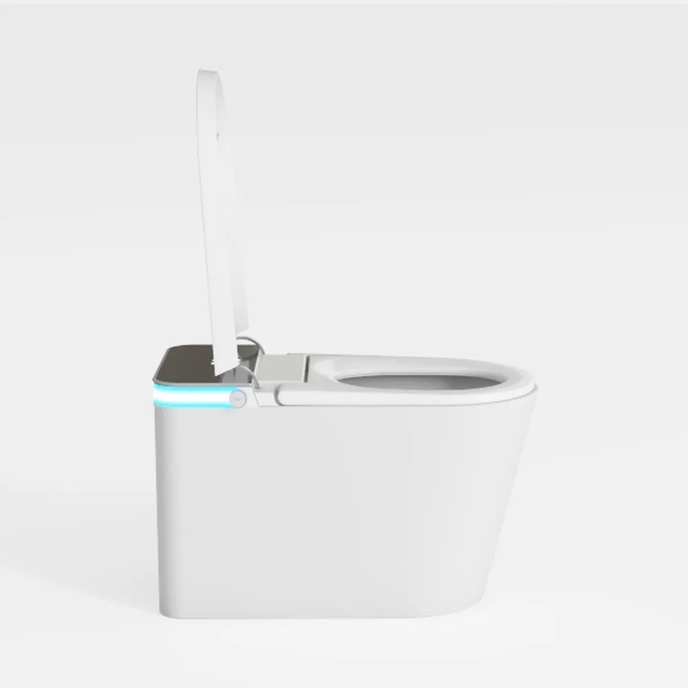 WinZo Smart Bidet Toilet with Built-in Tank, ADA