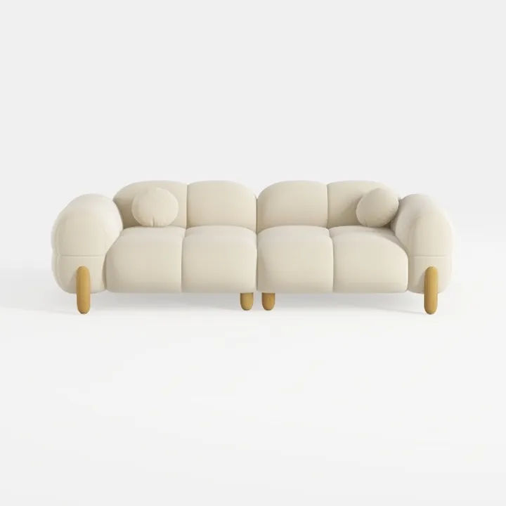 Sectional Couches for Living Room Filled with high