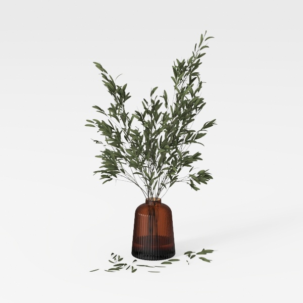 plant-Beginner Guide