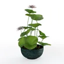 null Right 45 Degree View