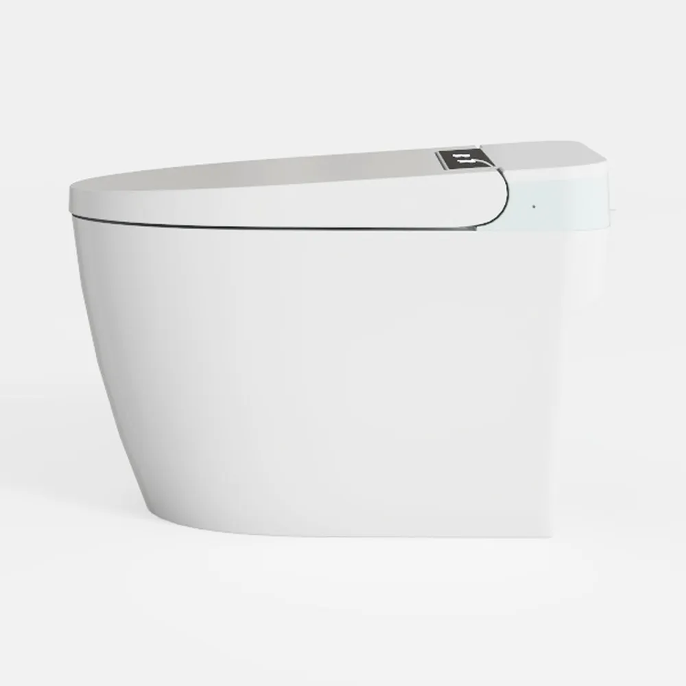 DeerValley Smart Bidet Toilet, Smart Toilet with