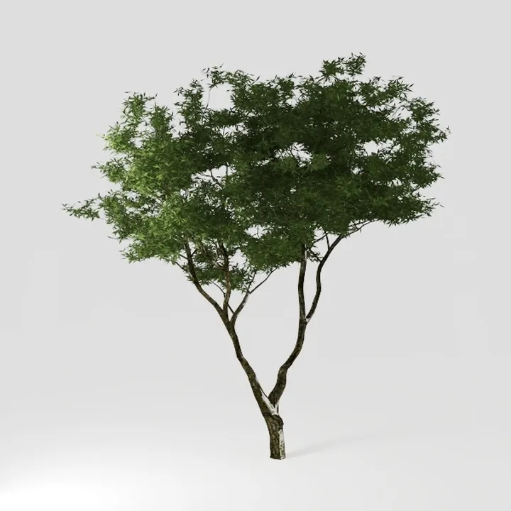 EcoFaux Artificial Olive Tree 6ft - Indoor Tall