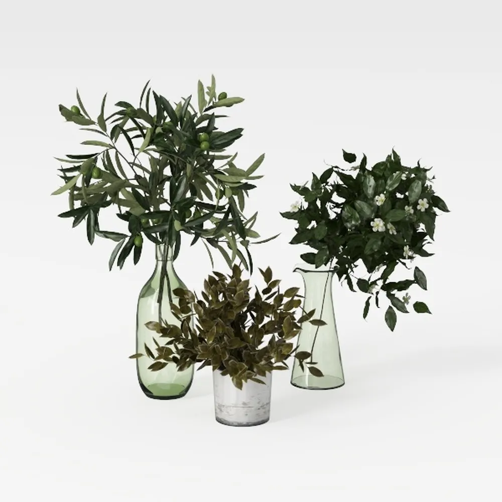 Costa Farms Live Pothos Plants (Pack of 6), Easy