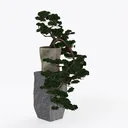 Live Pothos Plants (4PK) Indoor Plants Live  Right 45 Degree View