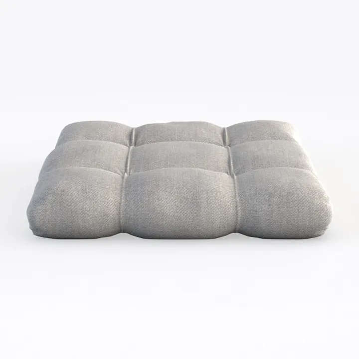 Cushion