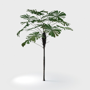 Open-air Cafe-plants 13.max