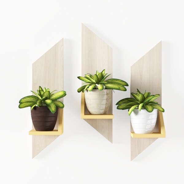 wall shelf-Hanging Greens
