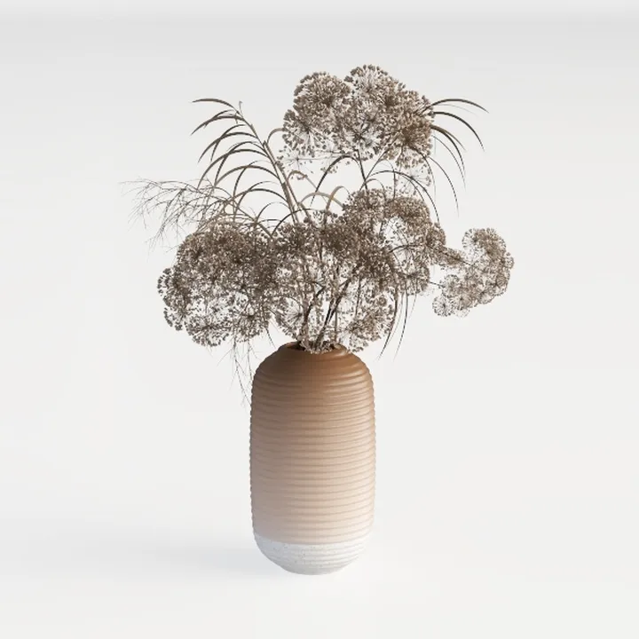 Minimalist Two Tone Ceramic Vase with Dried Floral Arrangement 3D Model