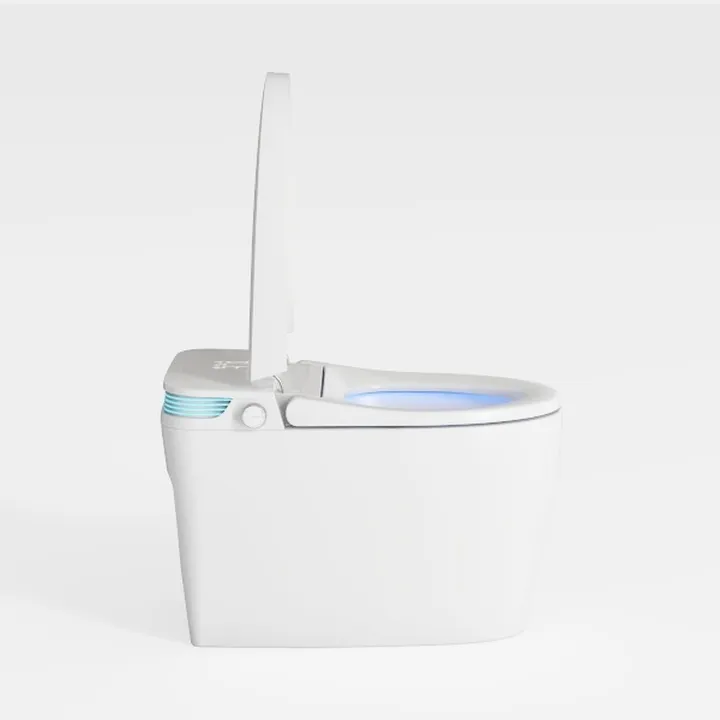 Smart Toilet with Bidet Built In ADA Height 17.7
